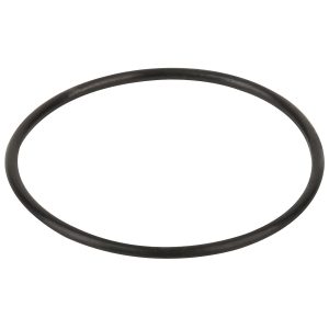 Pierścień uszczelniający pokrywy filtra wstępnego pompy Hayward K-FLO (RPUM0003.09R)