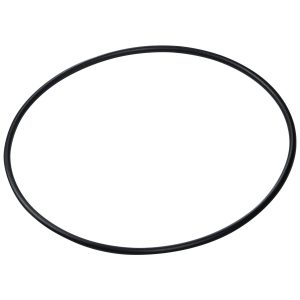 Pierścień uszczelniający obudowy pompy Aquaviva BJZ (F02010097 nr 6)